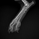 페이지동물병원 이미지