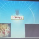 인호농원 네이버블로그