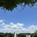 도그와트(Dogwarts) 이미지