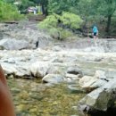 왕소나무집 이미지