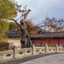 금촌전통시장 이미지