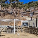 스테이제부 26-1 이미지