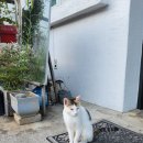 더끌림펜션 이미지