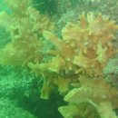 물속풍경 이미지