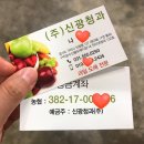 신광청과