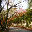 풍천여관 | 도솔산(선운산) 선운사. 1/2