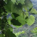 천등산민박
