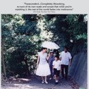 게임맥프라자 | [드라마]디스클레이머(Disclaimer, 2024) 후기: 팔이 안으로 굽는 것은 만고불변의 진리