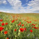 신구대학교식물원 갤러리 우촌 이미지
