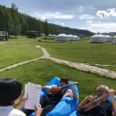 맑은 선율, 우쿨렐레 이미지