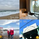 호수공원소나무숲길 | 강릉가볼만한곳 강릉놀거리 맛집 추천(세인트존스 펫더블룸, 강문해변, 경포호, 강릉중앙시장)