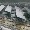 정수태양광발전소 이미지