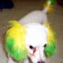 수일초등학교 이미지