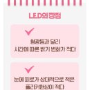 영등우미 이미지