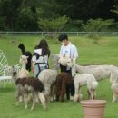 박은영농장 이미지