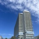 호텔 시크릿 | [신행일기] W15. 칸쿤 신혼여행 호텔존 시크릿더바인 2박 후기 | 수영장, 드래곤스, 시솔트그릴, 블루...