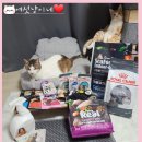 스트릿투홈