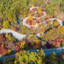 충청도 단풍 명소 7선 추석 연휴 지나면 볼 수 있는 가을 풍경 이미지