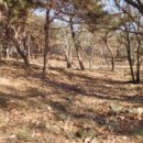 마중리 마을회관 이미지