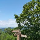 장성중앙초등학교 이미지