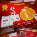솔티농장 이미지