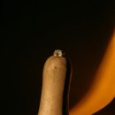 올바른헬스케어 이미지