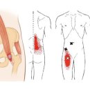화순튼튼마취통증의학과의원 이미지