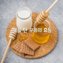 ﻿꿀을 탄 우유의 놀라운 효능 7가지 이미지