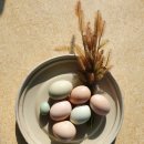 양지리 농장 이미지