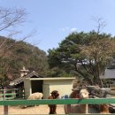 우둠지 | 포천 우둠지제빵소|알파카 체험|아이랑 가 볼 만한 곳