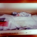 상마농장 이미지