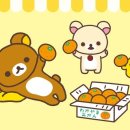 교촌김밥 이미지