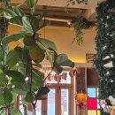 정다운 베이커리 | 유행왕 셰프의 용산 테디뵈르 하우스 베이커리 카페 기대하고 갔는데 맛은?