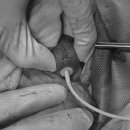 왕십리동물병원 이미지