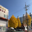 티스테이션 촉석로점 이미지