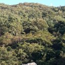 불갑저수지 수변공원 이미지