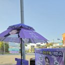 🌻부여행사장 소식(update예정) 이미지