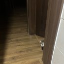 (유)연수실업 | 6월 넷째 주: 인생사 새옹지마