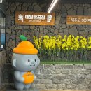 충남70바6300 이미지