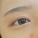 펌택스서비스 | 부산 속눈썹펌 후기 좋은 서면 부전동 뷰티스튜디오 차이 노글루펌