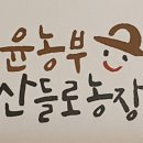 윤자농장 네이버블로그