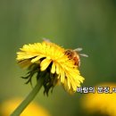 세미기획