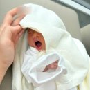 쉬즈메디산후조리원 | 쉬즈메디 프라우디 산후조리원 신관 특실 이용 후기 2탄