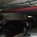 책향기로(1) 이미지