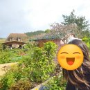 4월 프랑스 지베르니 정원 클로드 모네의 집 여행 후기 예약 방법 쥐베흐니 giverny