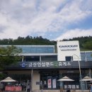 금산인삼랜드(대전) 이미지