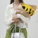 7아띠 이미지