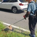 지산3리 이미지