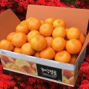 세일농장1 이미지