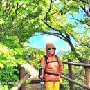 RE:🏞 (정기) 5월27일(수) 소백산철쭉산행/어의곡-비로봉-천동계곡코스 [샤방대장님] 이미지